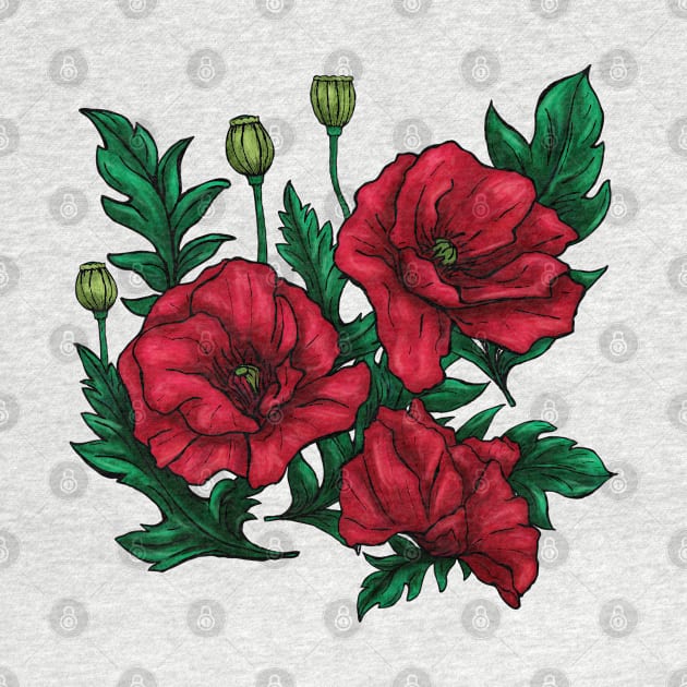 Hand-drawn red and green poppies flowers on white by NadiaChevrel